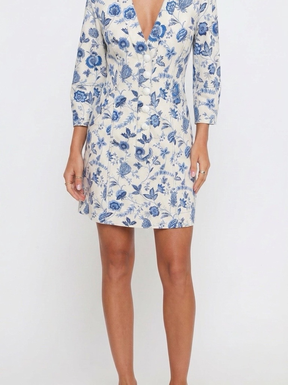 Derek Lam Cream Dress with Blue Floral Print